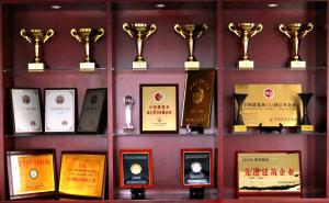 集團(tuán)公司四項(xiàng)工程榮獲“中州杯”獎！